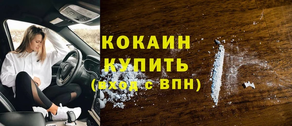 спиды Богданович