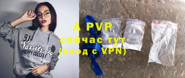 спиды Богданович