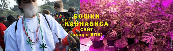 дурь Богородицк
