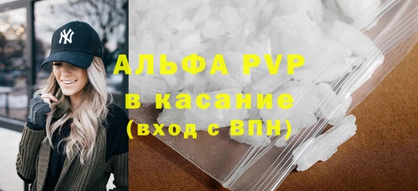 спиды Богданович