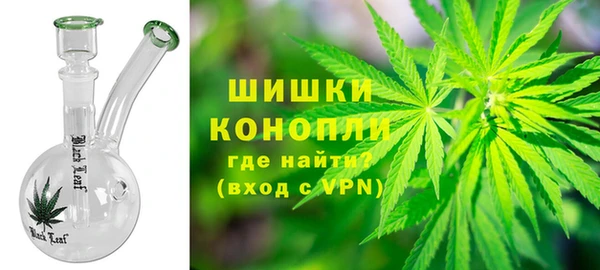 дурь Богородицк