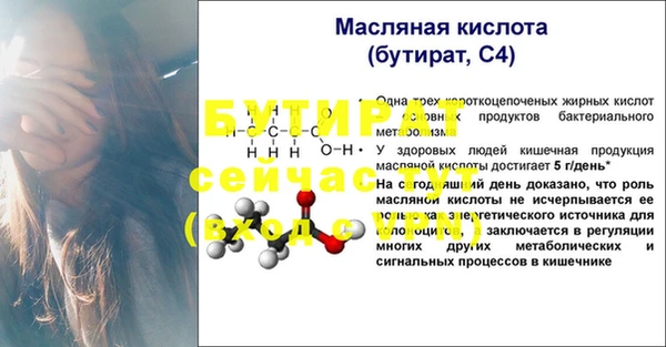 спиды Богданович