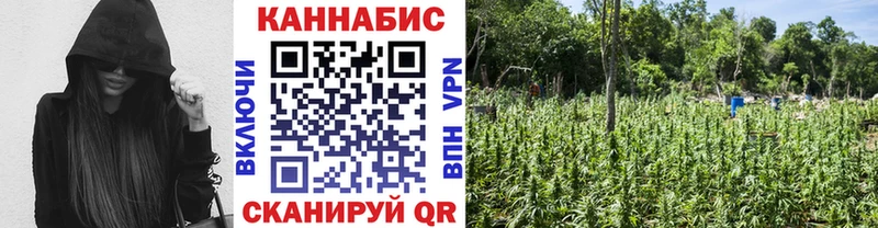 Бошки марихуана семена  Купить закладки  Ветлуга 